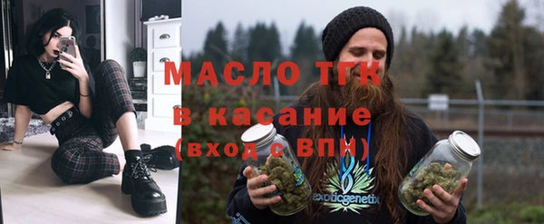 шишки Гусь-Хрустальный