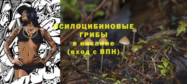 гашишное масло Гусиноозёрск