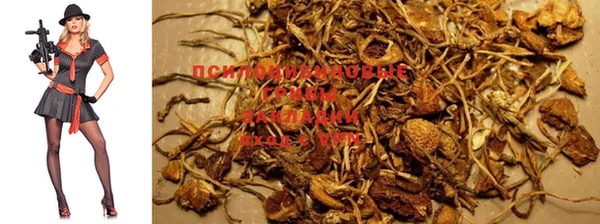 шишки Гусь-Хрустальный