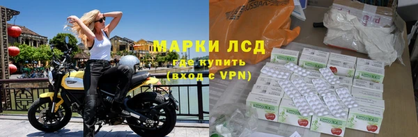 шишки Гусь-Хрустальный