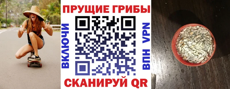 Купить закладки  Оленегорск  Галлюциногенные грибы GOLDEN TEACHER 